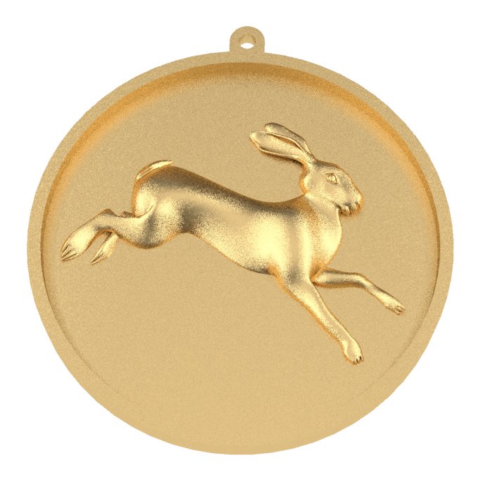 Tracksmith track medal
